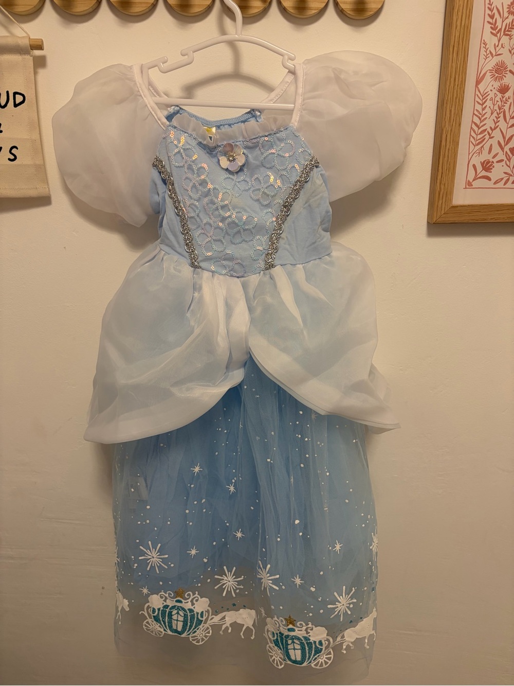 Blue Princess Carriage Kids Costume Dress